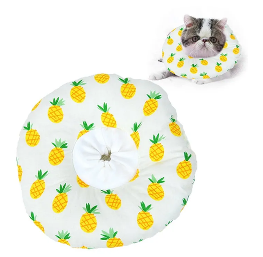 Soft Sponge Cat Recovery Collar